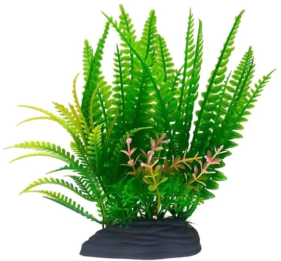 Picture of Aqua Natura, rolina, do dekoracji akwarium, zielona, plastikowa, 18 cm , papro z ótymi kocówkami