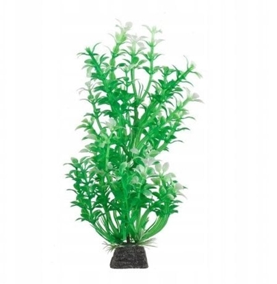 Picture of Aqua Natura, rolina, do dekoracji akwarium, zielona, plastikowa, 20 cm , biae kwiaty