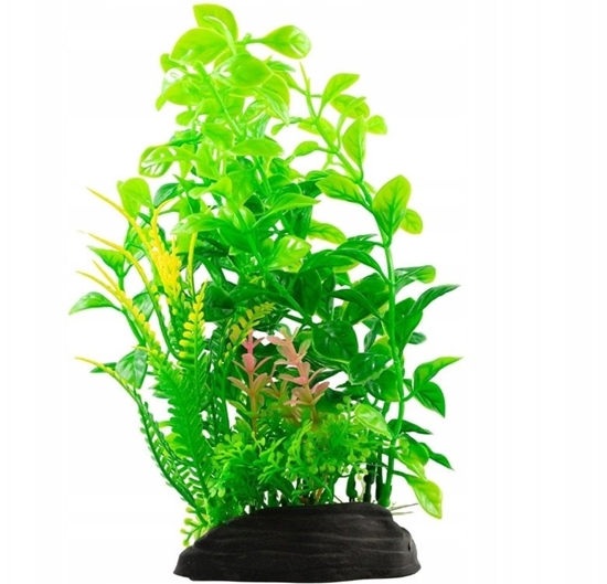 Picture of Aqua Natura, rolina, do dekoracji akwarium, zielona, plastikowa, 20 cm , paprotka i mode pdy