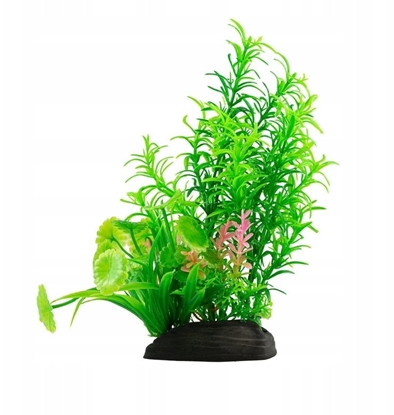 Picture of Aqua Natura, rolina, do dekoracji akwarium, zielona, plastikowa, 20 cm , paprotka i mode pdy