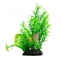 Picture of Aqua Natura, rolina, do dekoracji akwarium, zielona, plastikowa, 20 cm , paprotka i mode pdy