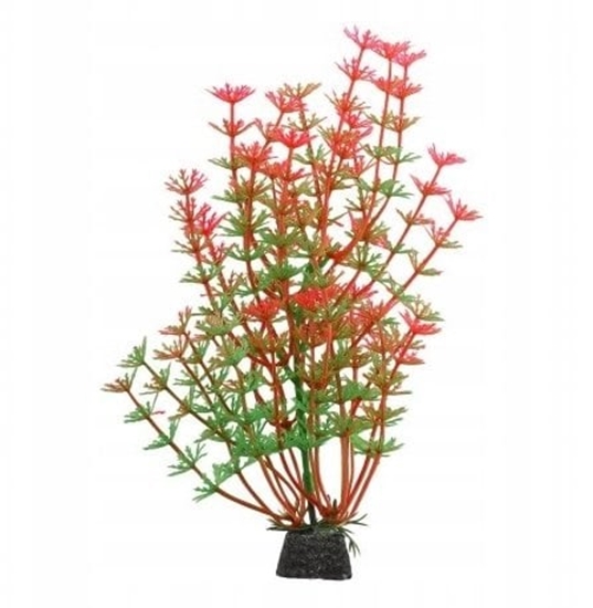Picture of Aqua Natura, rolina, do dekoracji akwarium, zielono-czerwone, plastikowa, 20 cm , pdy kopru