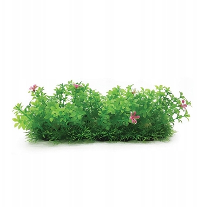 Picture of Aqua Natura, rolina, do dekoracji akwarium, zieona, plastikowa, 10 cm , doniczka korytkowa, pojedyncze róowe kwiaty