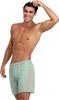 Picture of Arena Mskie Szorty FUNDAMENTALS ARENA LOGO BOXER R