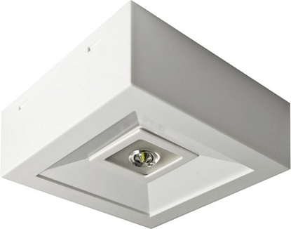 Picture of AWEX Oprawa awaryjna LOVATO N ECO LED 1W 125lm (opt. otwarta) 1h jednozadaniowa biaa LVNO/1W/ESE/AT/WH - LVNO/1W/ESE/AT/WH