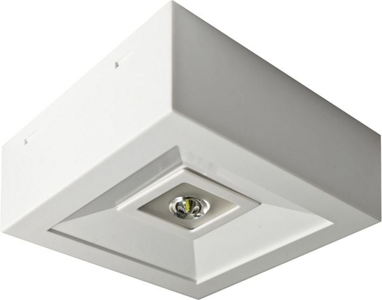 Picture of AWEX Oprawa awaryjna LOVATO N ECO LED 1W 125lm (opt. otwarta) 1h jednozadaniowa biaa LVNO/1W/ESE/AT/WH - LVNO/1W/ESE/AT/WH