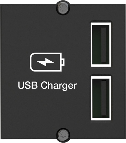 Picture of Bachmann Bachmann custom module USB double charger, charger ((917.224))