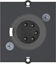 Изображение Bachmann frame XLR 5-pin socket , Screw connection 5-pole