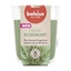 Picture of Bolsius True Scents Scented Candle 97x85mm Rosemary