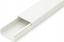Picture of CanaLUX CANALUX LISTWA KANA KABLOWY KORYTKO POKRYWA 40X16 2M BKK CNL-C-40016