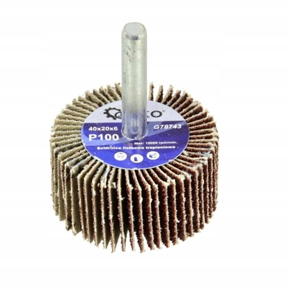 Picture of ciernica listkowa trzpieniowa 40x20X6  P80 (50/100)