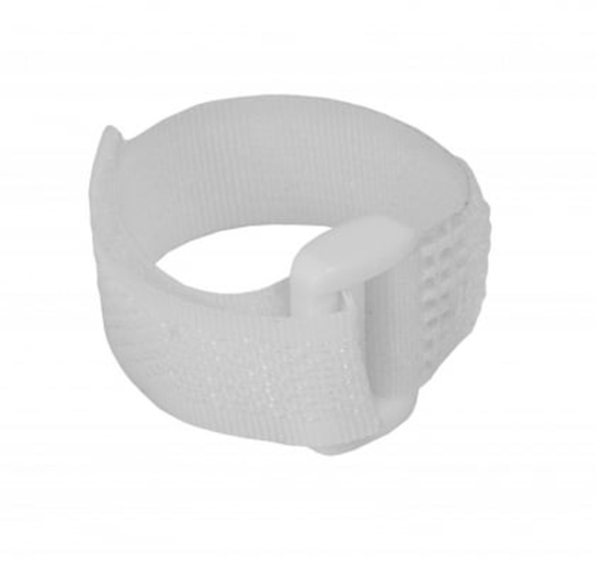 Изображение Dedra Opaski rzepowe 12 x 150mm biae 5szt. (11RB12151)