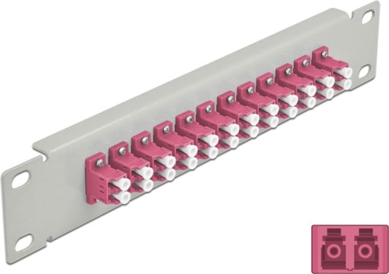 Picture of Delock 10″ Fiber Optic Patch Panel 12 Port LC Duplex violet 1U grey