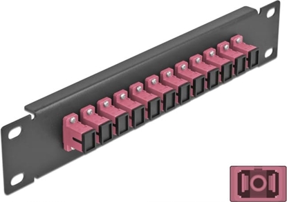 Picture of Delock 10″ Fiber Optic Patch Panel 12 Port SC Simplex violet 1U black