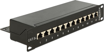 Picture of Delock 10″ Patch Panel 12 Port Cat.6A black