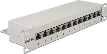 Picture of Delock 10″ Patch Panel 12 Port Cat.6A grey