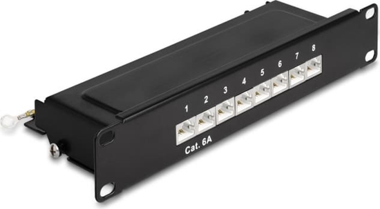 Picture of Delock 10″ Patch Panel 8 port Cat.6A 1U black