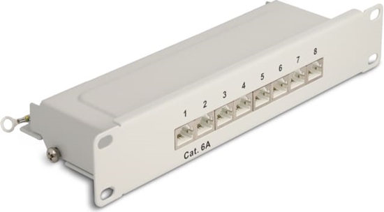 Picture of Delock 10″ Patch Panel 8 port Cat.6A 1U grey