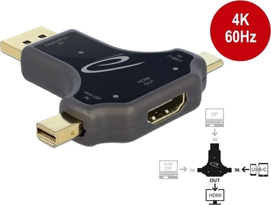 Picture of Delock 3 in 1 Monitor Adapter with USB-C™ / DisplayPort / mini DisplayPort in to HDMI out with 4K 60 Hz