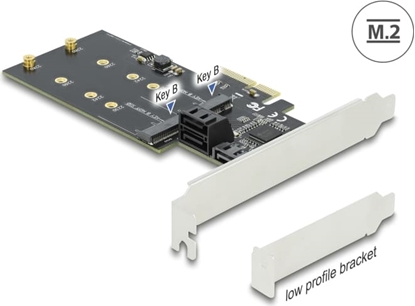 Picture of Delock 3 port SATA and 2 slot M.2 Key B PCI Express x4 Card - Low Profile Form Factor