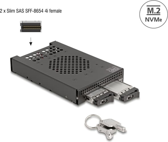 Picture of Delock 3.5″ Mobile Rack for 2 x M.2 NVMe SSD with Slim SAS SFF-8654 connector