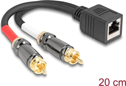 Picture of Delock Adapter Cable RJ45 jack to 2 x RCA male black 20 cm
