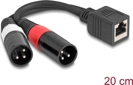 Picture of Delock Adapter Cable RJ45 jack to 2 x XLR 3 pin plug black 20 cm
