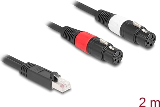 Picture of Delock Adapter Cable RJ45 plug to 2 x XLR 3 pin jack black 2 m