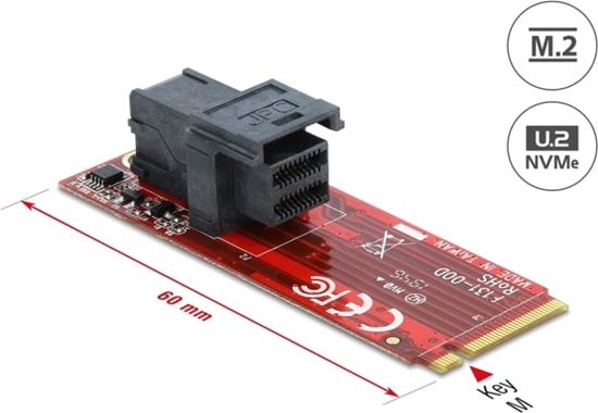 Picture of Delock Adapter M.2 Key M > SFF-8643 NVMe