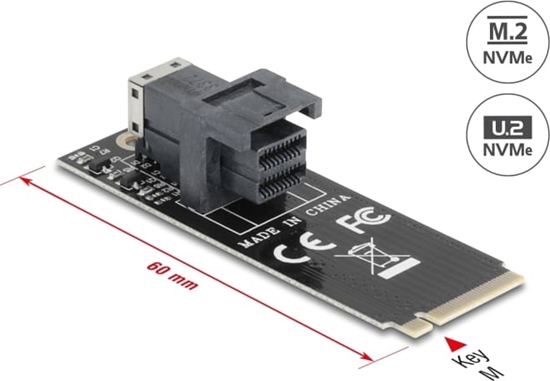Picture of Delock Adapter M.2 Key M to SFF-8643 NVMe 2260