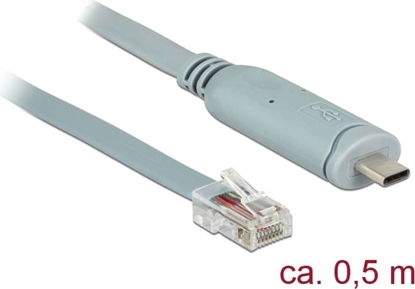 Picture of Delock Adapter USB 2.0 Type-C™ male > 1 x Serial RS-232 RJ45 male 0.5 m grey