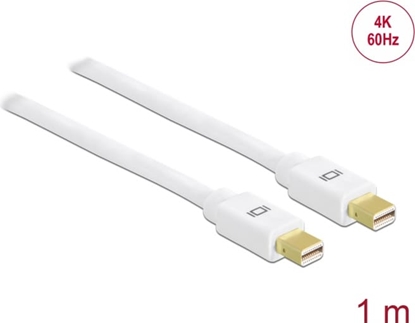 Picture of Delock Cable Mini DisplayPort 1.2 male > Mini DisplayPort male 4K 60 Hz 1 m