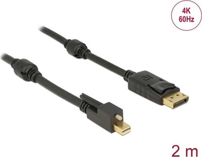 Picture of Delock Cable Mini DisplayPort 1.2 male with screw > DisplayPort male 4K 60 Hz 2 m