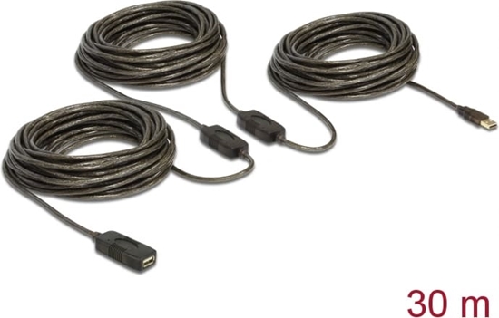 Picture of Delock Cable USB 2.0 Extension, active 30 m