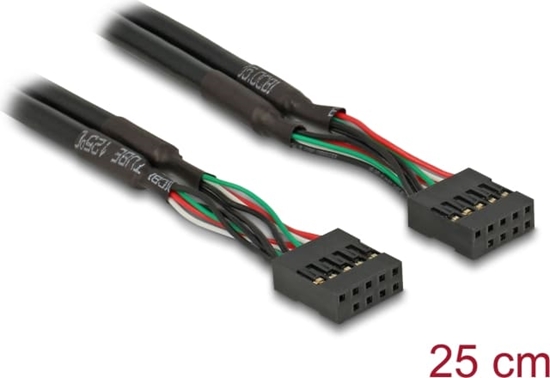 Picture of Delock Cable USB 2.0 pin header female 2.54 mm 10 pin to USB 2.0 pin header female 2.54 mm 10 pin 25 cm