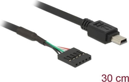 Picture of Delock Cable USB 2.0 pin header female 5 pin > USB 2.0 Type Mini-B male 30 cm