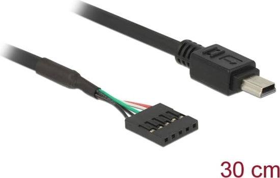 Picture of Delock Cable USB 2.0 pin header female 5 pin > USB 2.0 Type Mini-B male 30 cm