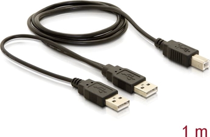 Picture of Delock Cable USB 2.0-B > USB-A power + power/data