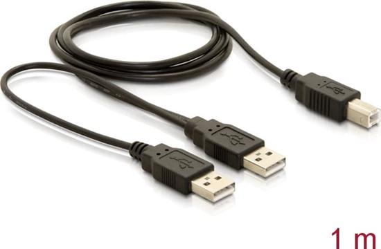 Picture of Delock Cable USB 2.0-B > USB-A power + power/data