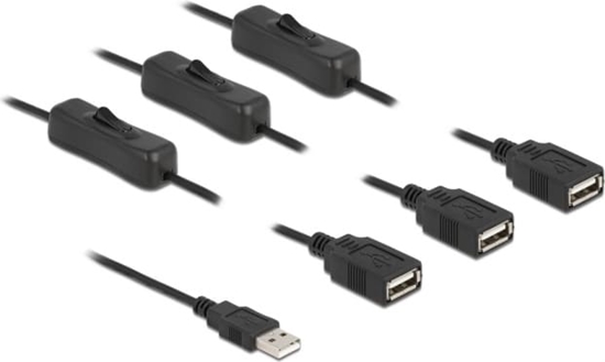 Picture of Delock Cable USB Type-A male to 3 x USB Type-A female with switch 1 m