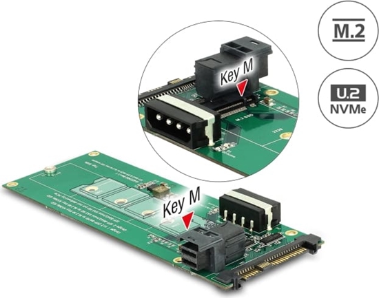 Изображение Delock Converter U.2 SFF-8639 / SFF-8643 NVMe > 1 x M.2 Key M