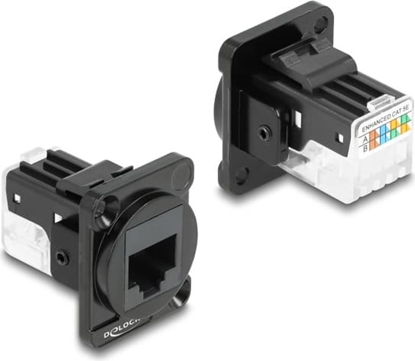 Изображение Delock D-Type Module RJ45 Cat.6A female to LSA female