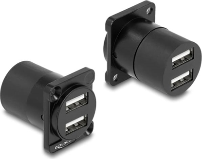 Изображение Delock D-Type Module USB 2.0 Type-A 2 x female to 2 x female