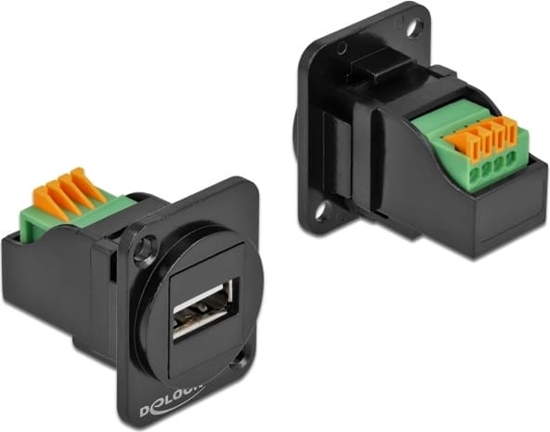 Picture of Delock D-Type Module USB 2.0 Type-A female to terminal block