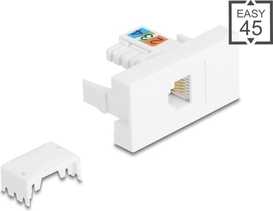 Изображение Delock Easy 45 Module RJ12 jack to LSA UTP white