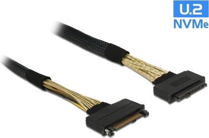 Изображение Delock Extension cable U.2 SFF-8639 male > U.2 SFF-8639 female 0.5 m