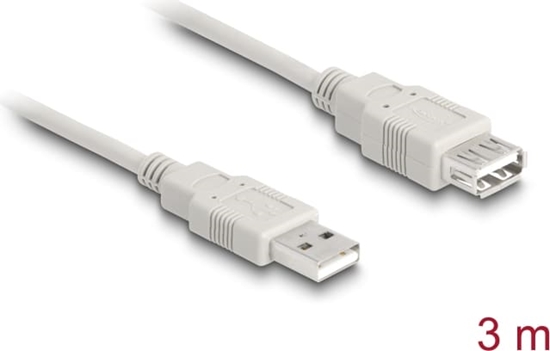 Picture of Delock Extension cable USB 2.0 Type-A male to USB 2.0 Type-A female 3 m beige