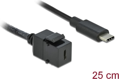 Picture of Delock Keystone Module USB 5 Gbps Type-C™ female to USB Type-C™ male with cable 25 cm