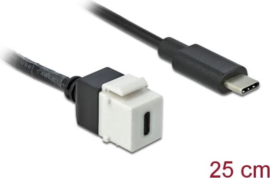Picture of Delock Keystone Module USB 5 Gbps Type-C™ female to USB Type-C™ male with cable 25 cm