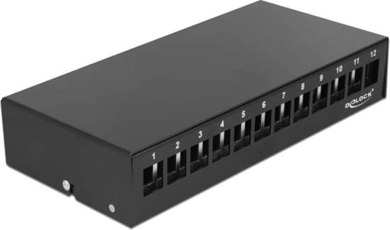 Picture of Delock Keystone Patch Panel 12 Port black